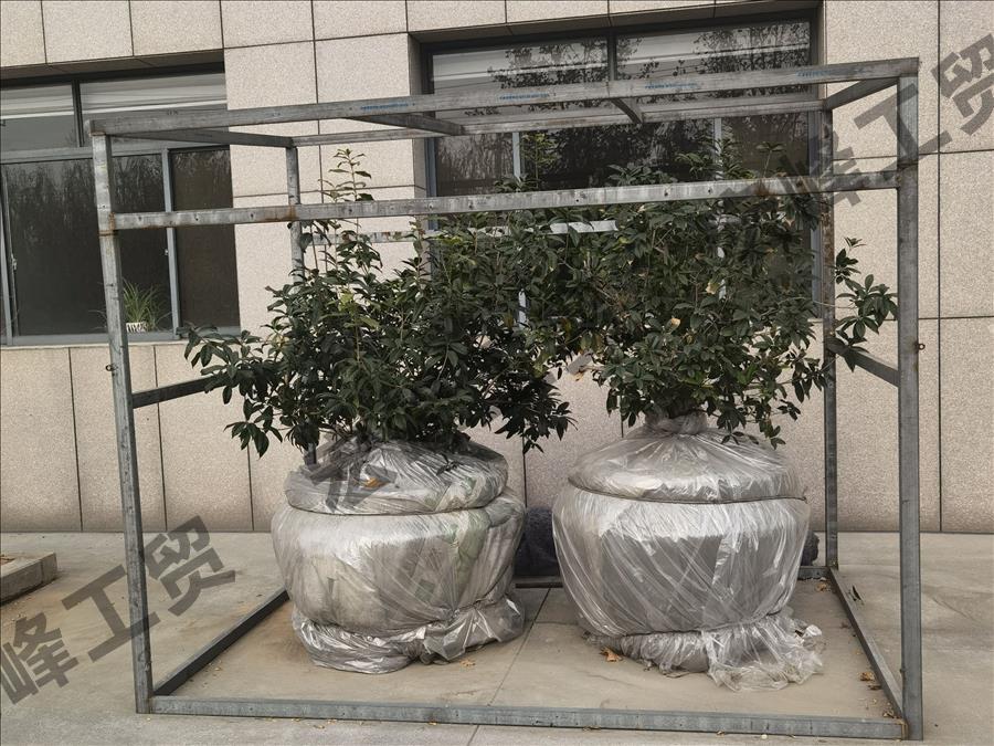 园区一角-盆栽